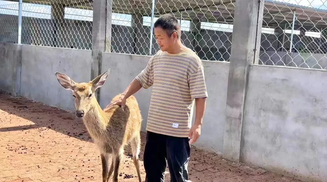 捕鱼源码分享网